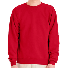 Hanes Sweatshirt P160