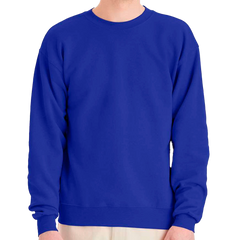 Hanes Sweatshirt P160