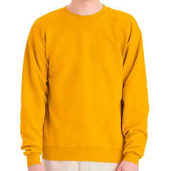 Hanes Sweatshirt P160