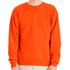 Hanes Sweatshirt P160